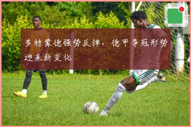 多特蒙德强势反弹，德甲争冠形势迎来新变化